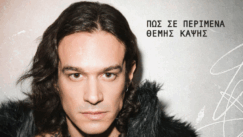 Kapsis themis perimena