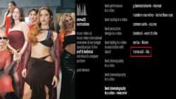 Marina satti uk music video awards 2025